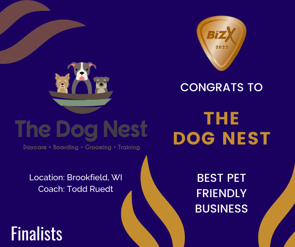 dog nest award 2022