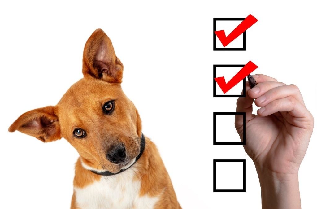 The Checklist for Adopting Dog Parents