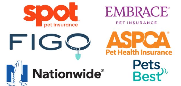 dog insurance companies