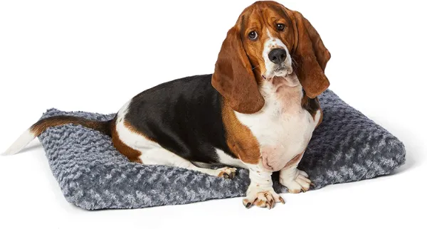 affordable dog bed