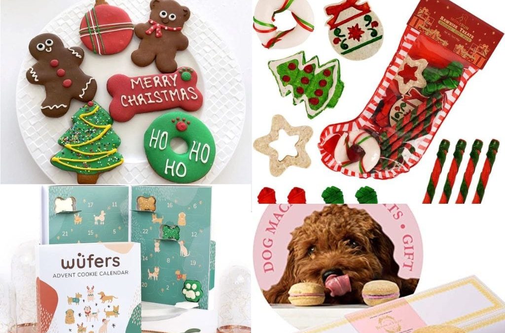 Top 5 Holiday Treats For Your Dog
