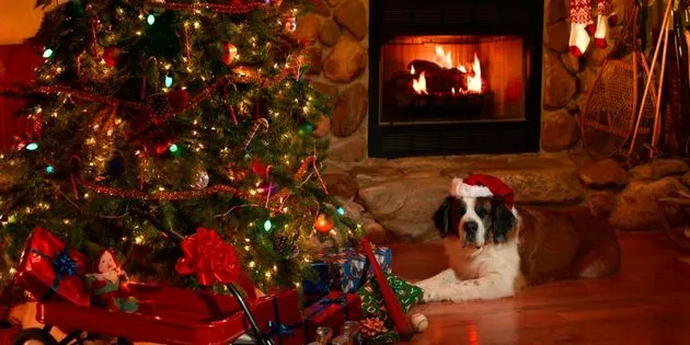 holiday pet safety christmas tree