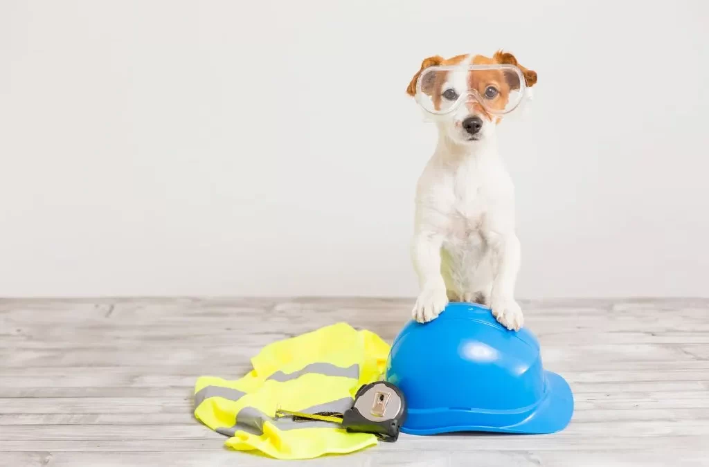 Keeping Your Dog Safe During Home Renovations