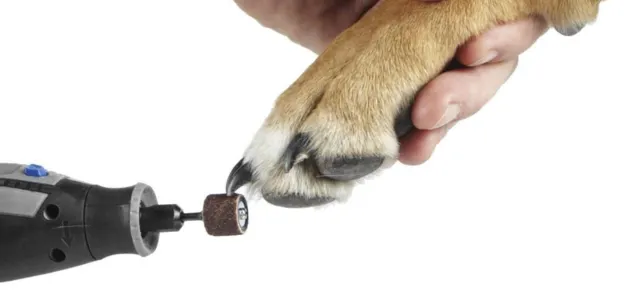 types of dog nail trimmers