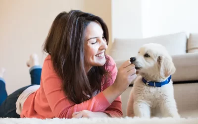 15 Tips for First-Time Dog Owners