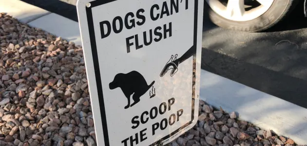 dog waste scoop